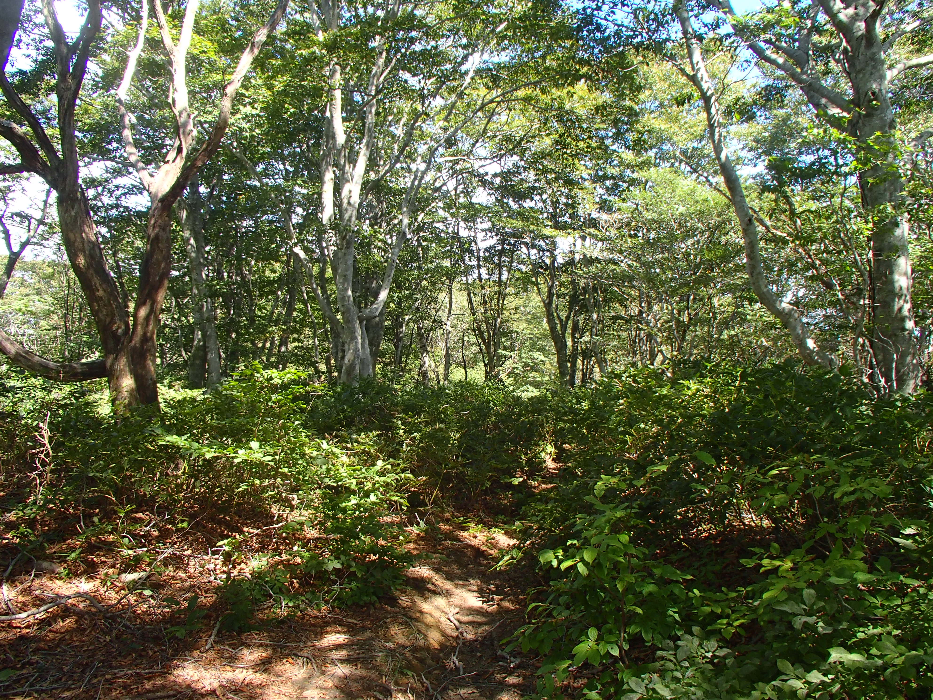 P9210290.JPG