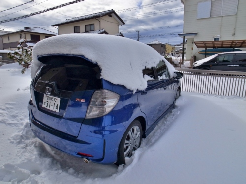 R0050770 (1024x768).jpg