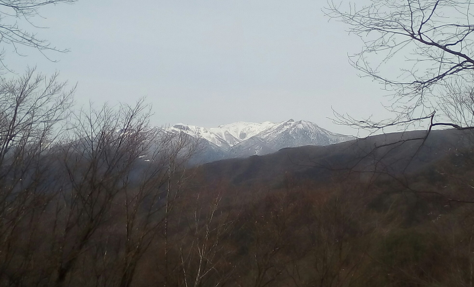 IMG_20160310_163552_303.JPG