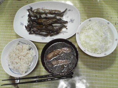 シシャモ22092501