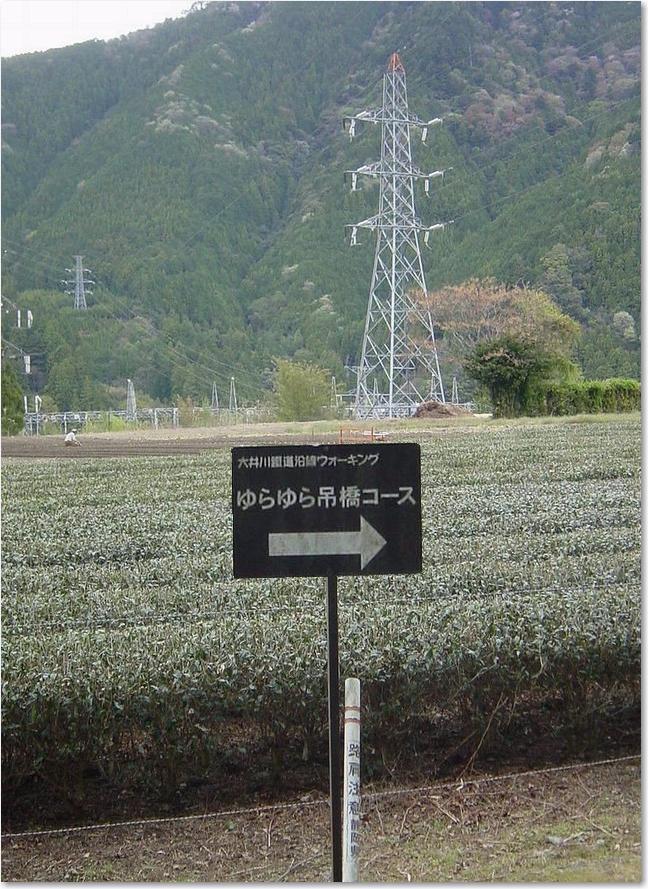 コピー ～ 40ゆらゆらコース.JPG