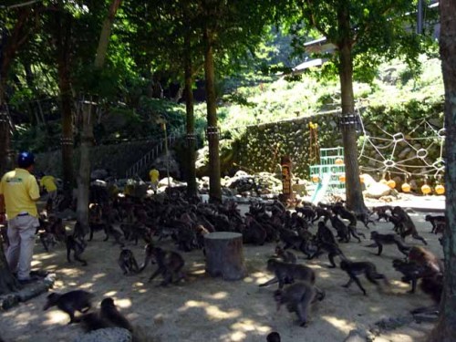 芋の時間 (3).JPG