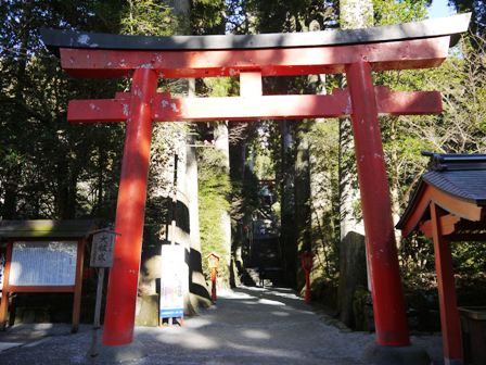 箱根神社４.jpg