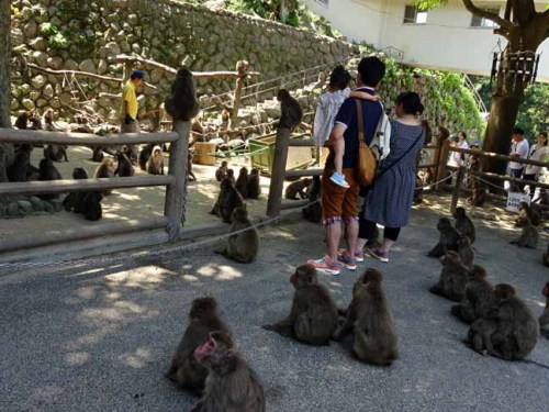 芋の時間 (5).JPG