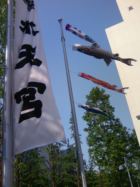 水天宮鯉のぼり20130505.JPG