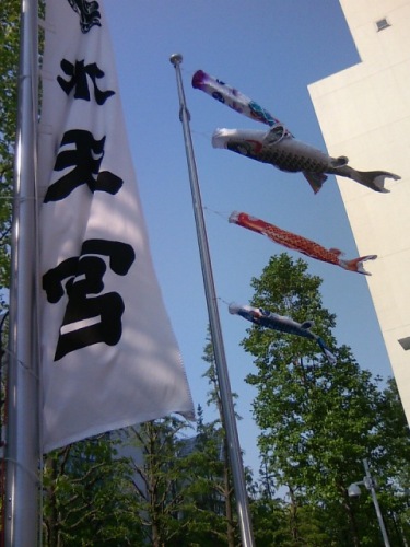 水天宮鯉のぼり20130505.JPG