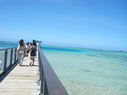 グアム旅行 フィッシュアイマリンパーク (9).JPG