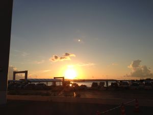 IMG_3964.jpg