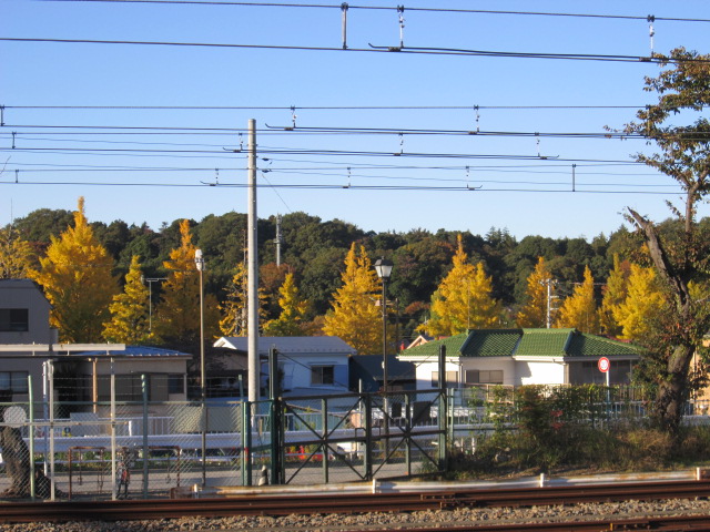 駅前の紅葉