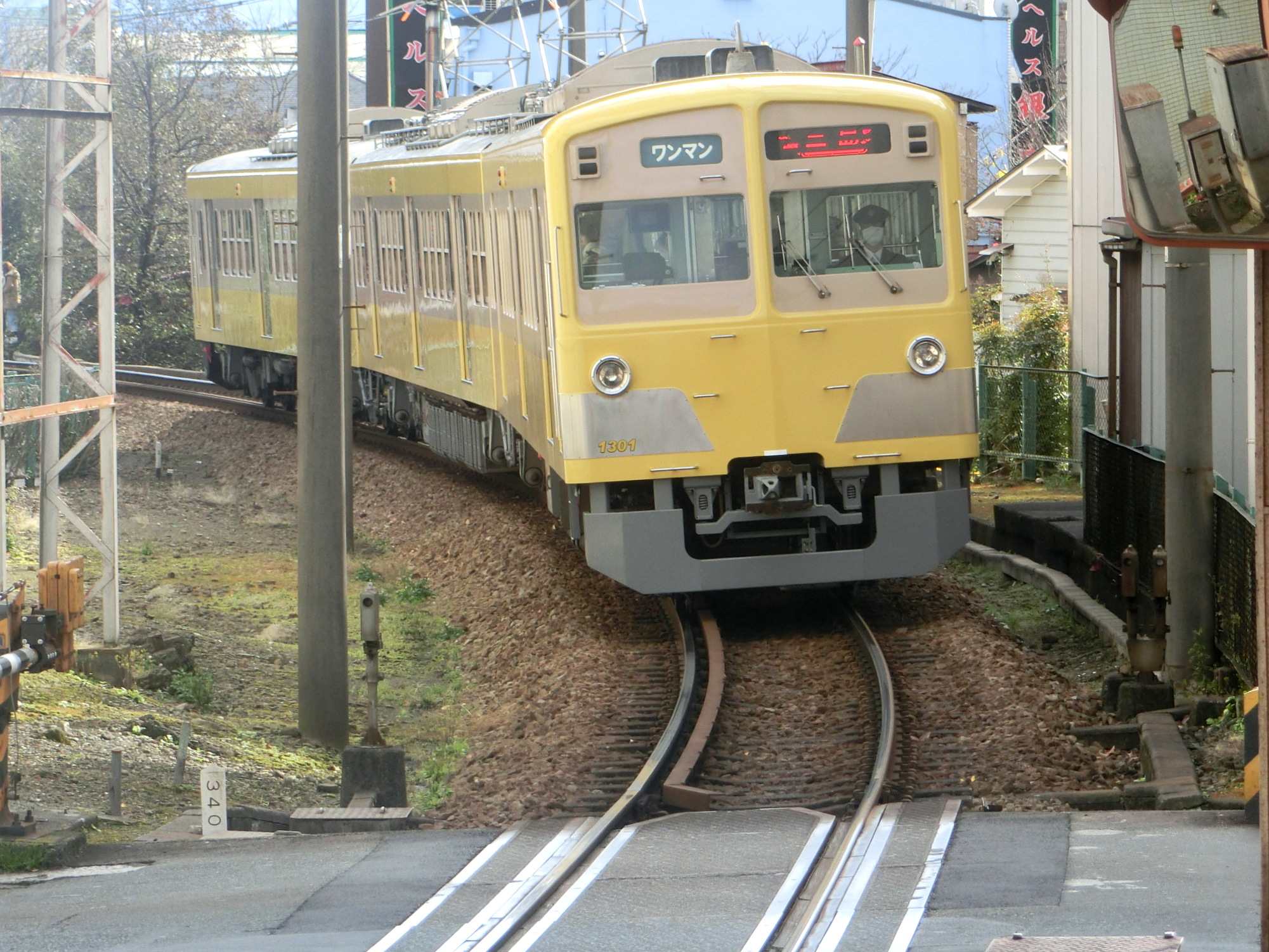yellow1.JPG