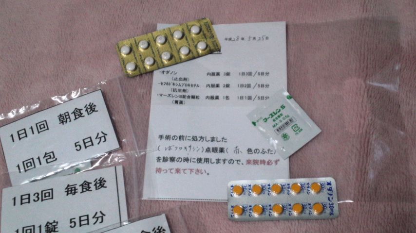 mini_160525_1920.jpg