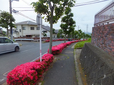 2014.06.06　ウォーキングコース 001.jpg