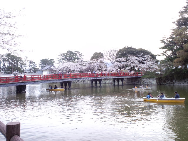 CA3C0231.JPG