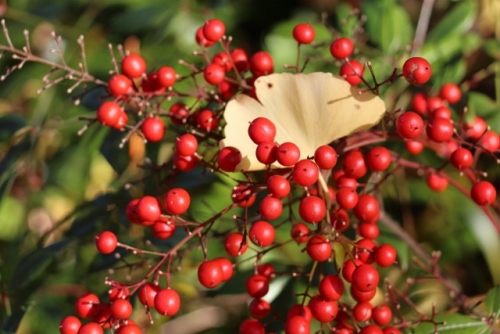 IMG_0126 (640x427).jpg