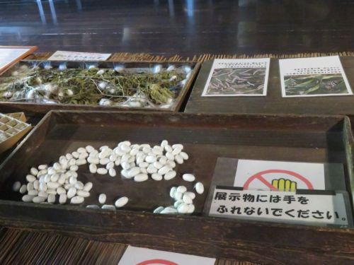 白川郷和田家 (4).jpg