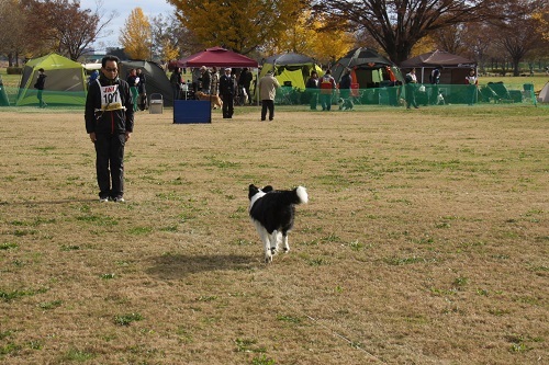 IMG_4631.JPG