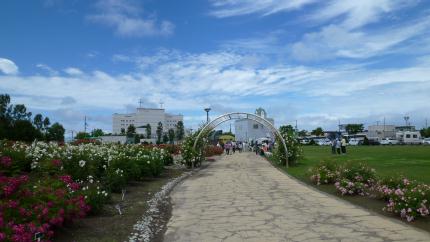 douhokunotabi2012.7-haboro-baraen-d.jpg