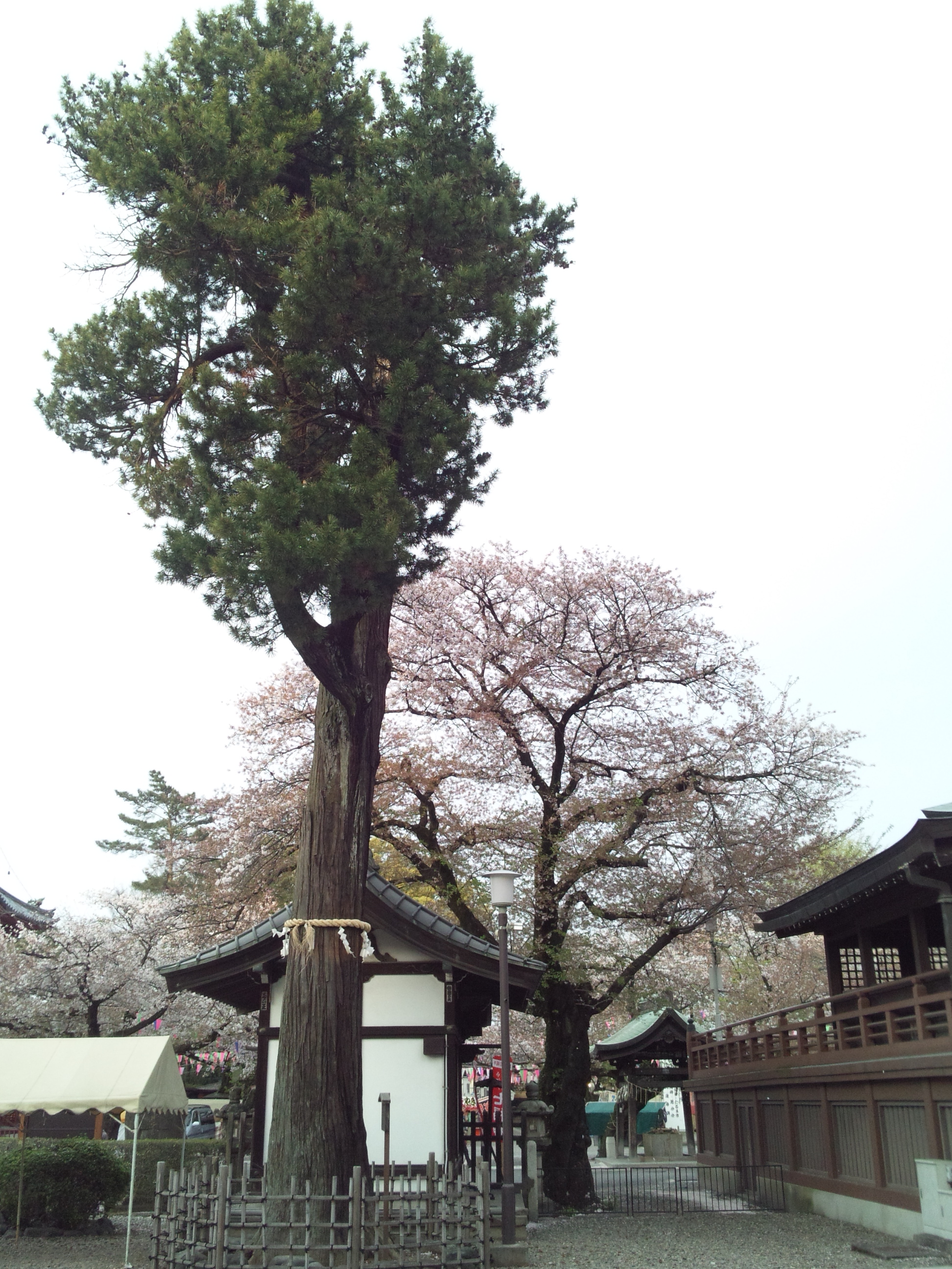 160409_173233.jpg