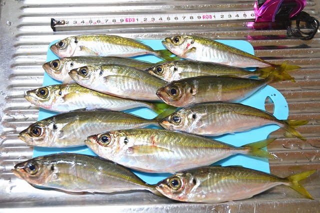 showPhoto (640×426)