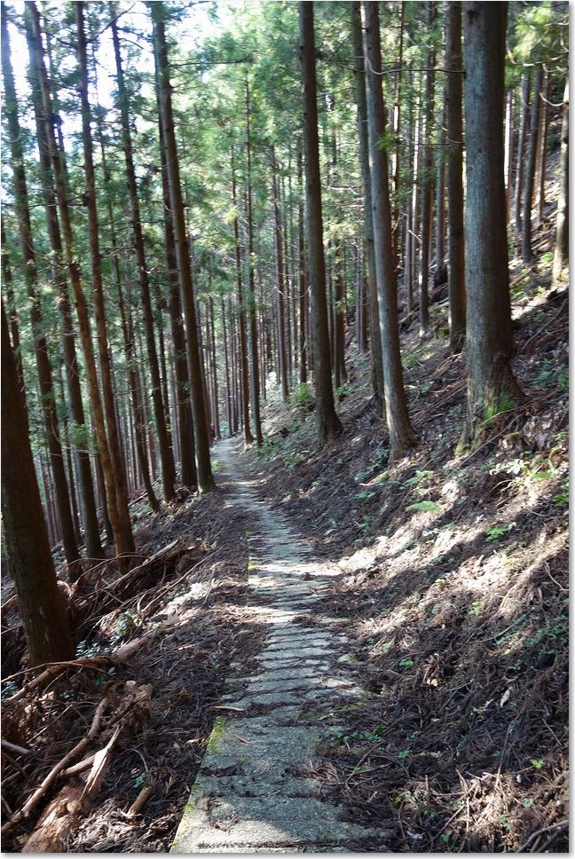 118しばらくはフラット