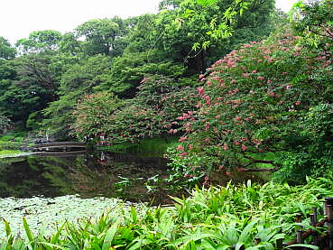150829-13.JPG