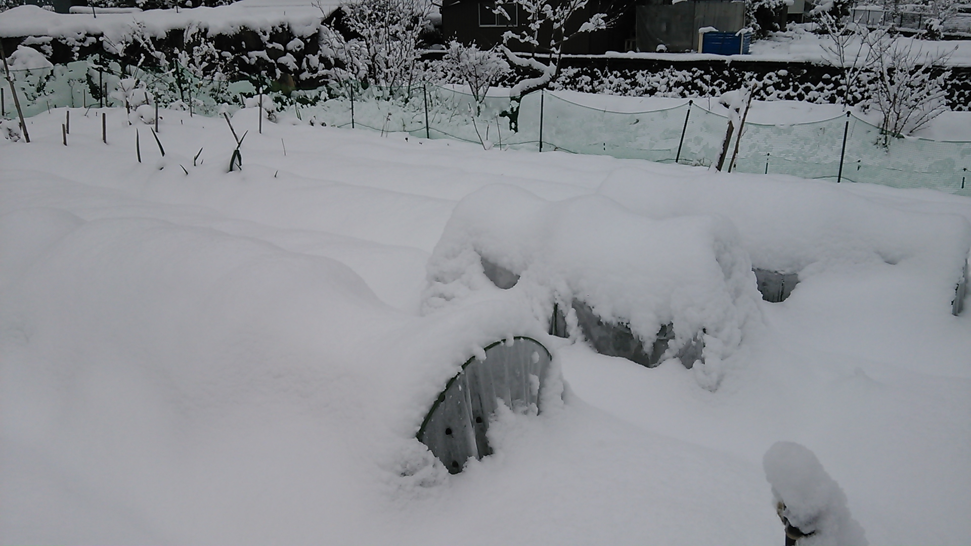 DSC_0085.JPG