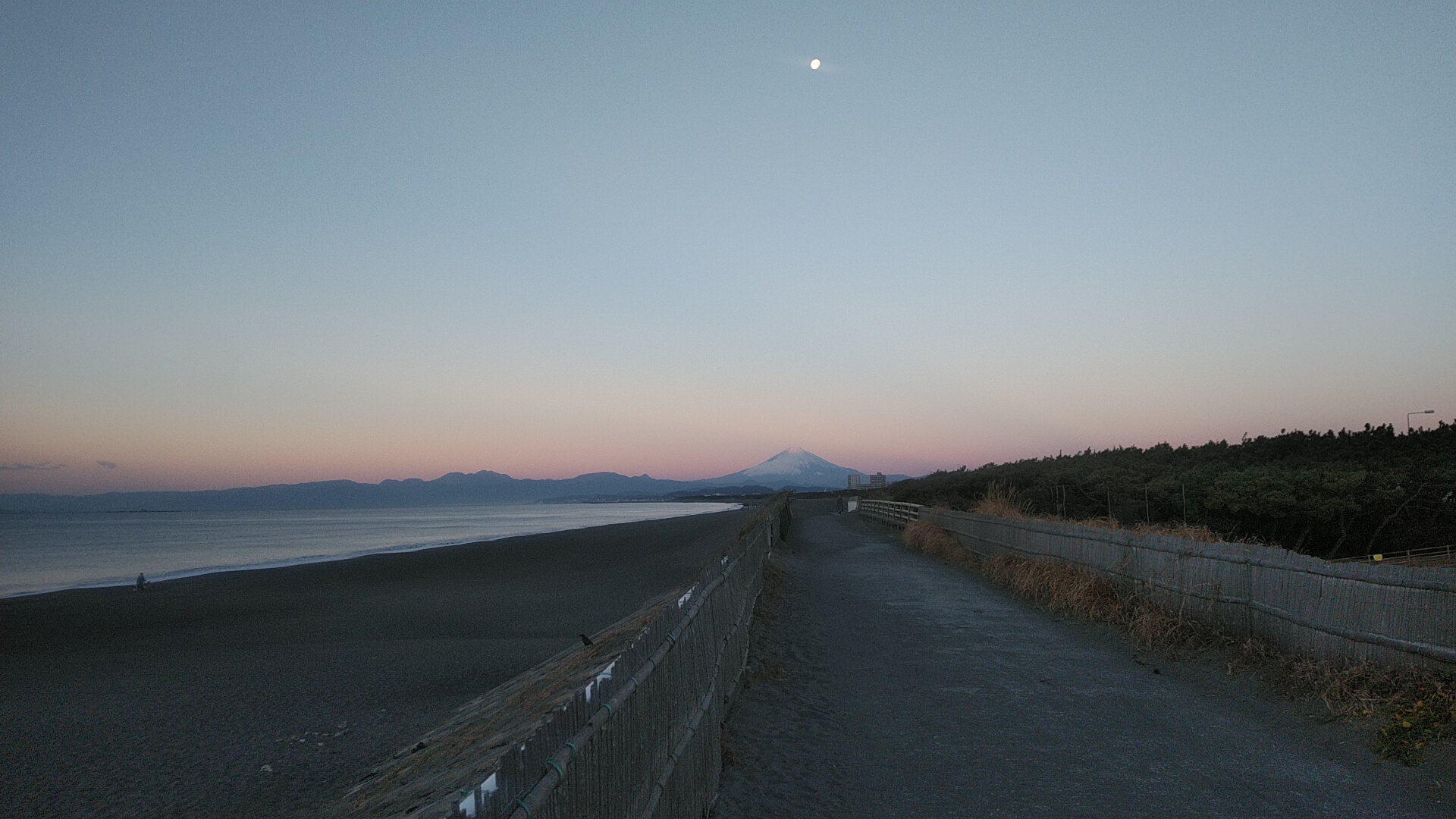 20230110  DSC_0001.jpg