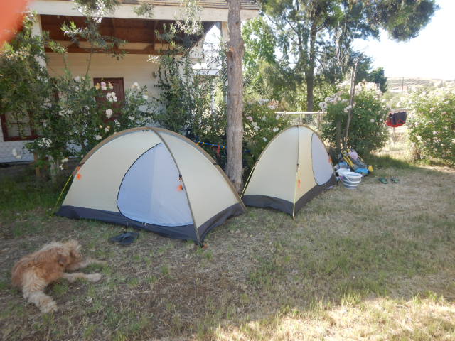 DSCN0186.JPG