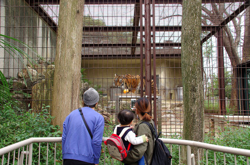 東山動植物園(5).jpg