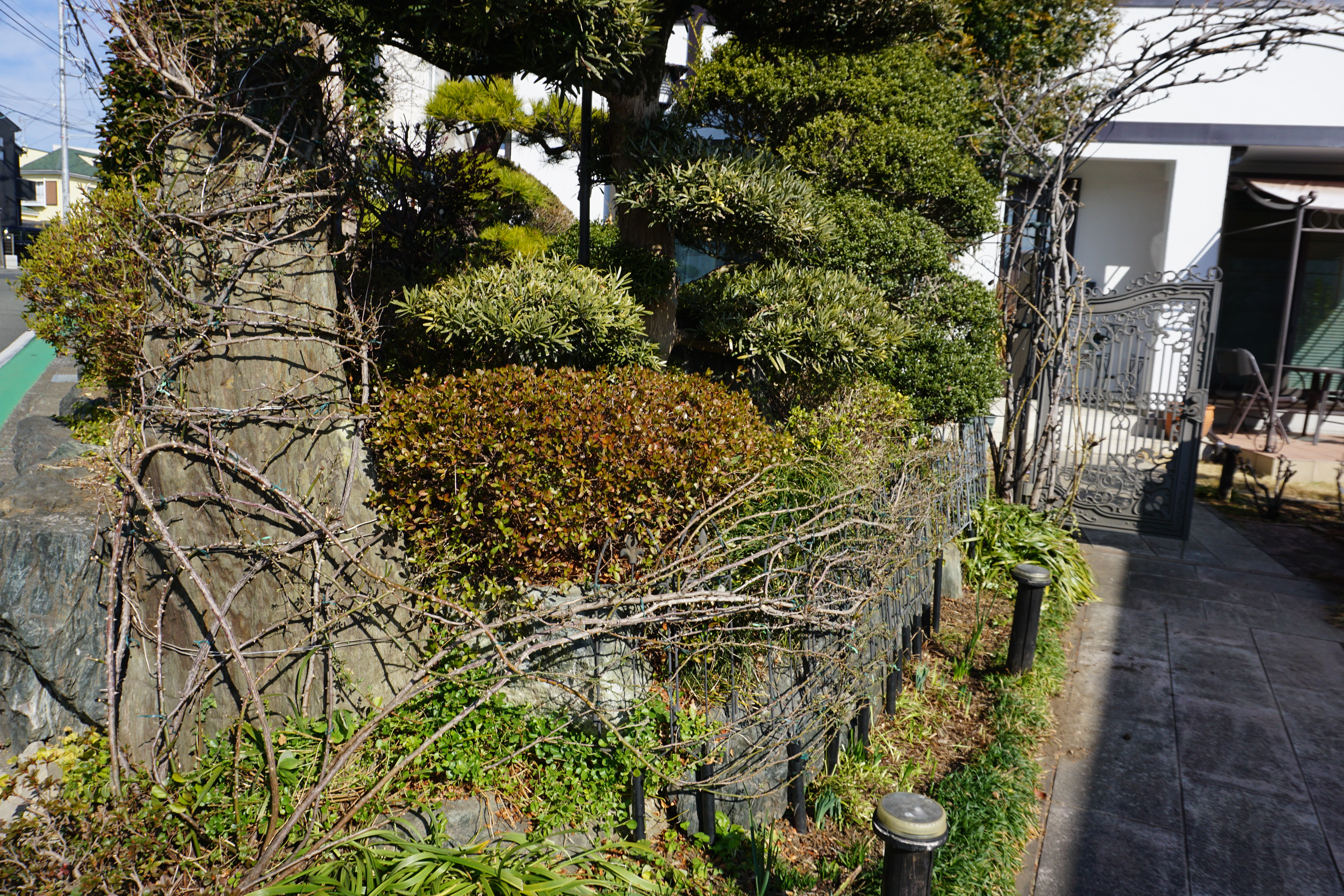 2025年2月1-4.JPG