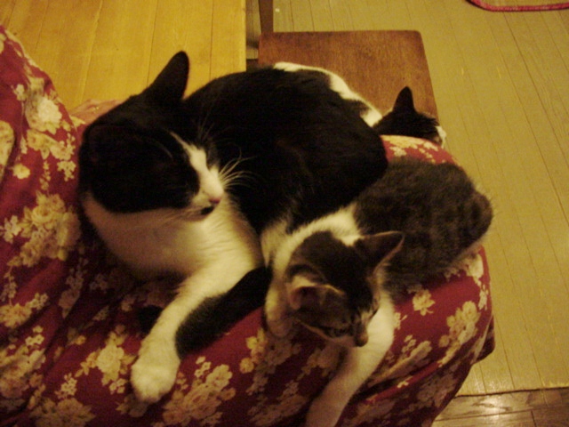 DSC09053.JPG