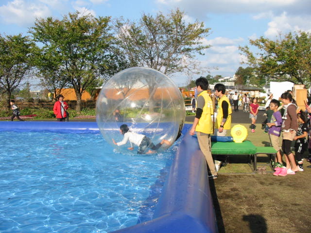 ryokkatottori 034.JPG