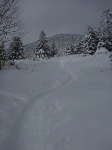 縞枯山・茶臼山201312284.jpg