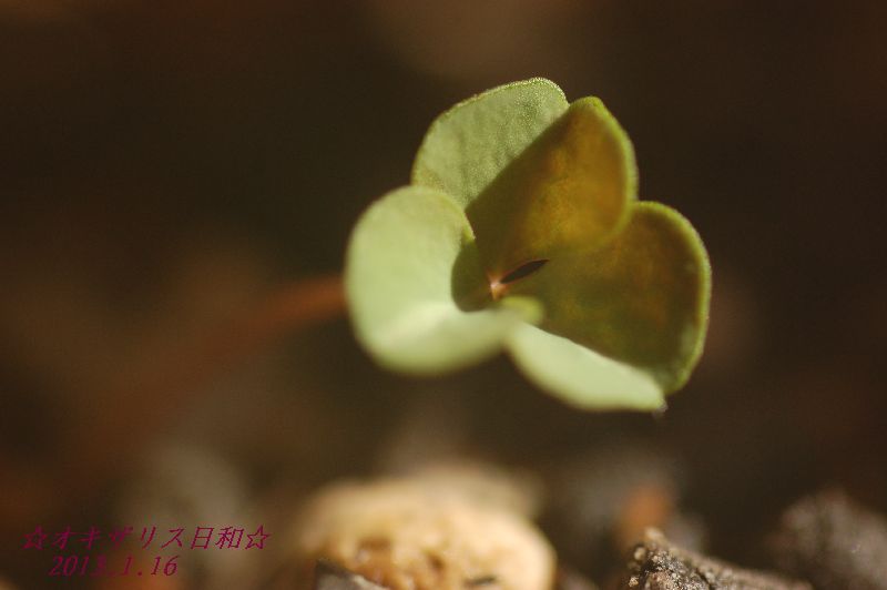 DSC_5942.JPG