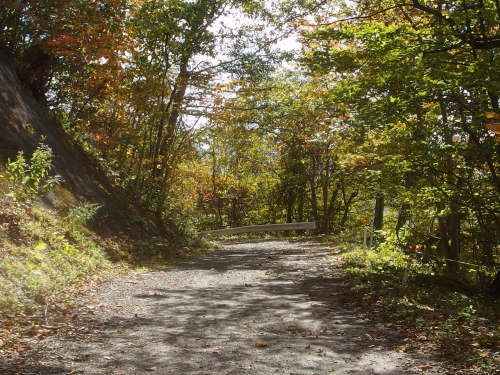 2015-10-13 11.31.17.jpg