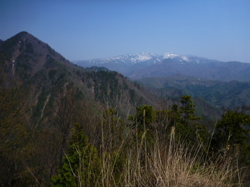 春山2.jpg