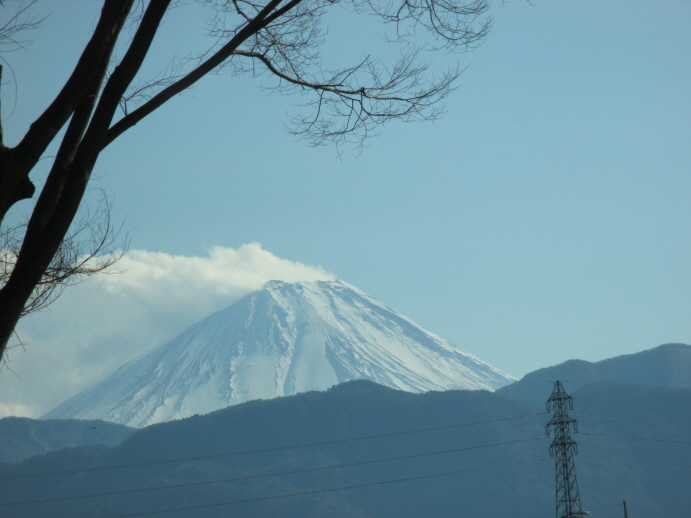サイズ変換_IMG_1447.JPG