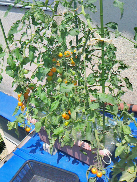 2012072811420000.jpg