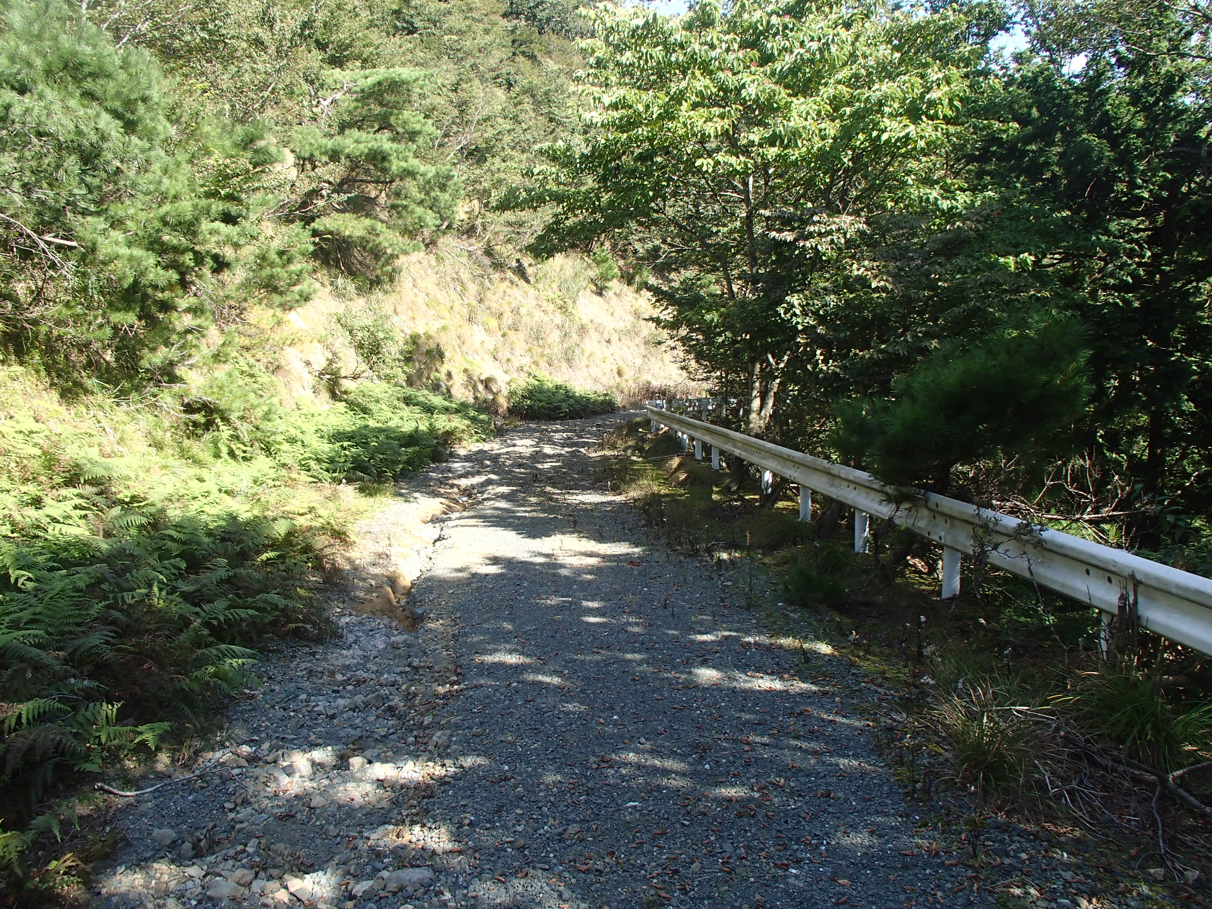 P9210299.JPG