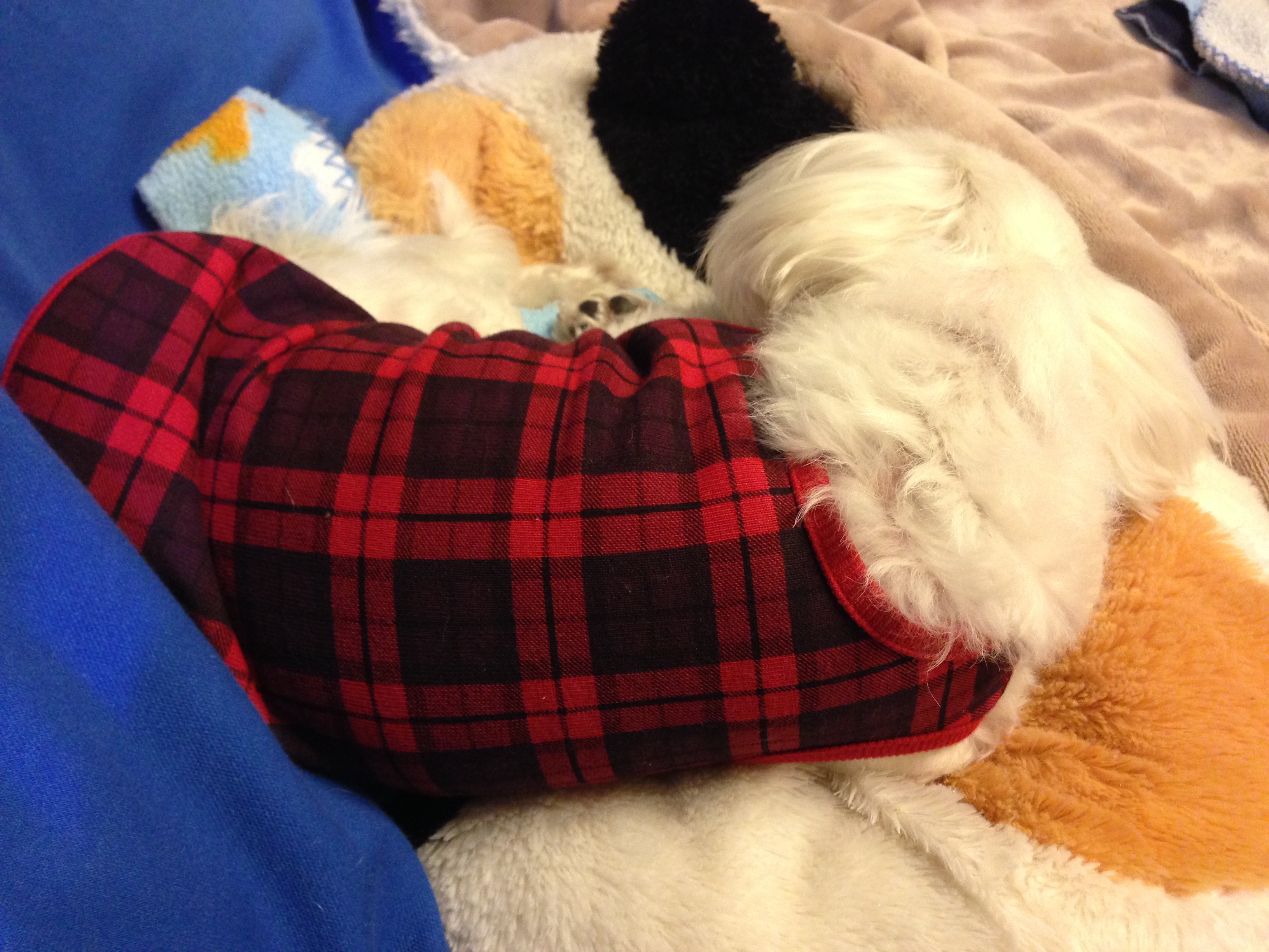 201412102217_7902_iphone.jpg
