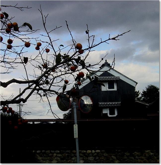 47柿の実と蔵.JPG