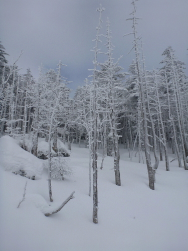 縞枯山・茶臼山201312283.jpg