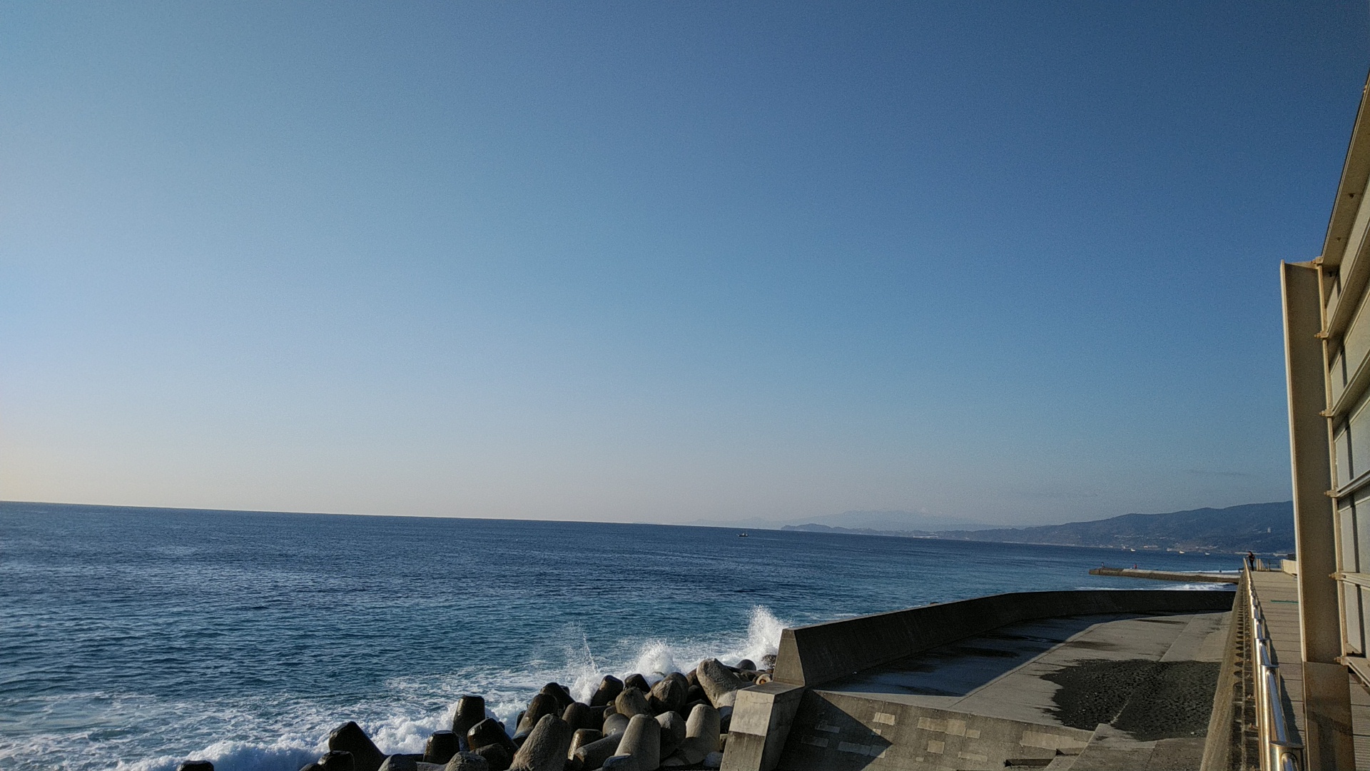 20190309  DSC_0004.jpg.jpg