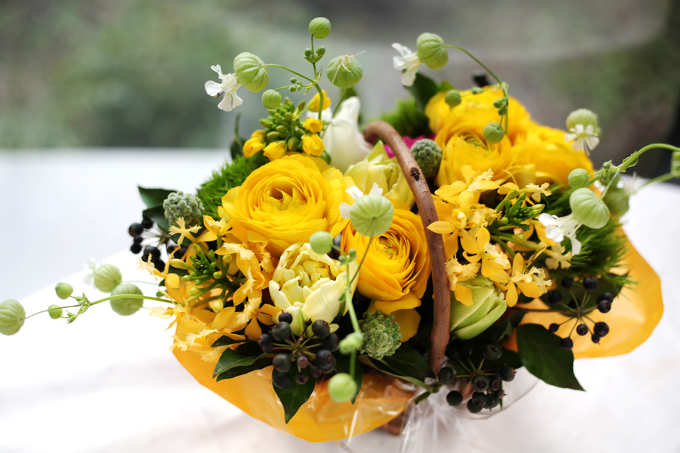 yelloworange4320-7.jpg