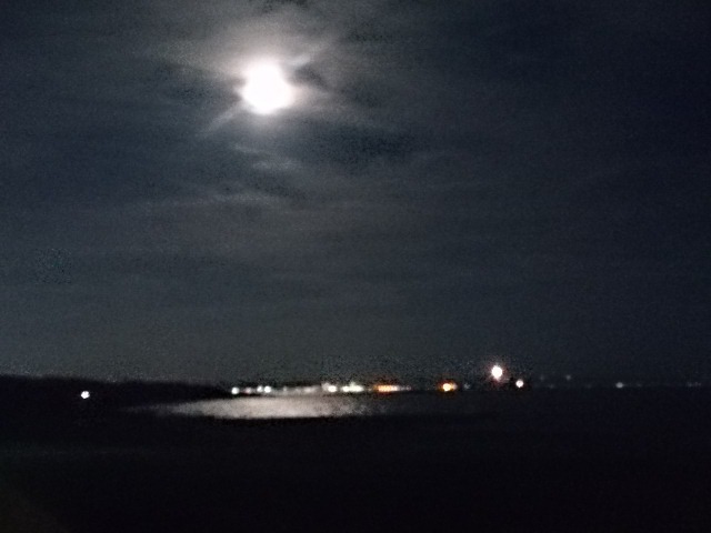 20171103  DSC_0006.jpg