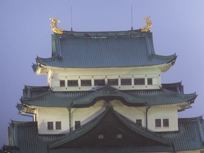 81.jpg