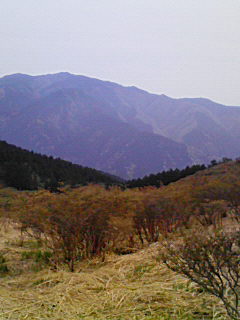 201204291520001.jpg