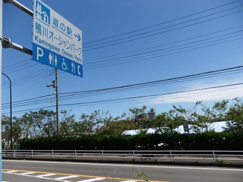 鴨川オーシャンパーク１20120821.JPG