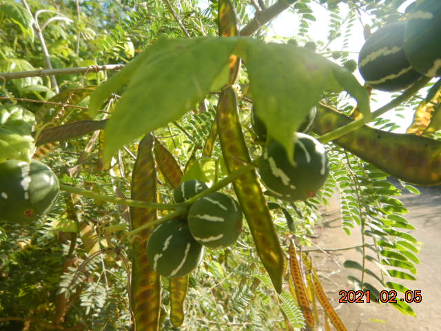 DSCN9956.JPG
