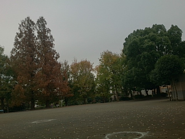 20151202  DSC_0002.jpg